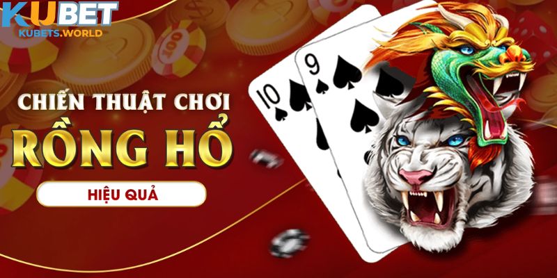 Chiến thuật cá cược rồng hổ Kubet online