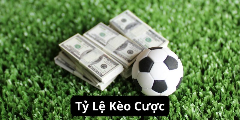 Tỷ lệ kèo cược là thuật ngữ cá độ bóng đá cơ bản nhất