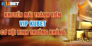 đặc quyền thành viên vip