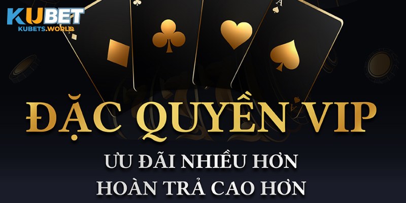 Lưu ý khi tham gia chương trình, hưởng đặc quyền thành viên VIP